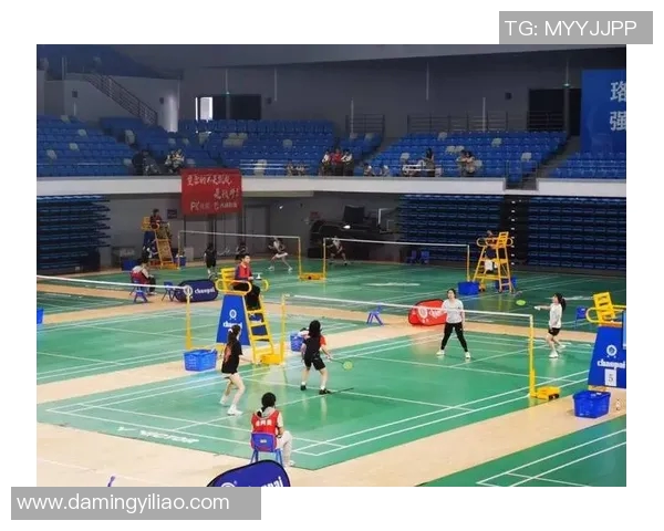 武汉羽毛球队的速度之美与技术探秘：全面解析羽毛球竞技魅力