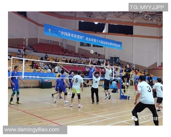 上海排球队的阵地战分析与战术解读探讨