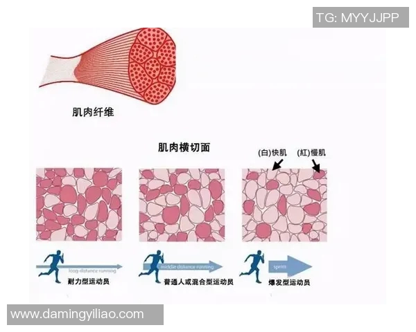 北京排球队与武汉排球队耐力对决赛后分析与反思