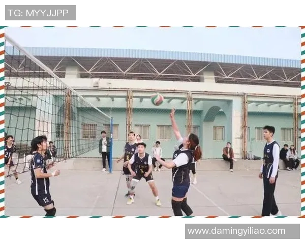 南京排球队的拼搏之路：城市联赛中的奋斗与荣耀