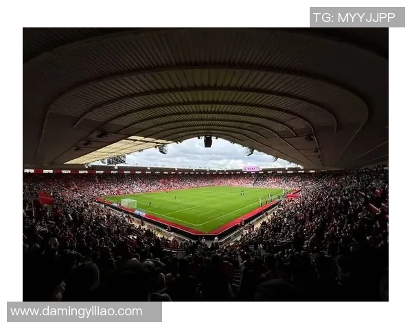 探索enz足球的魅力与发展潜力，揭示其在全球足球界的独特地位与影响力